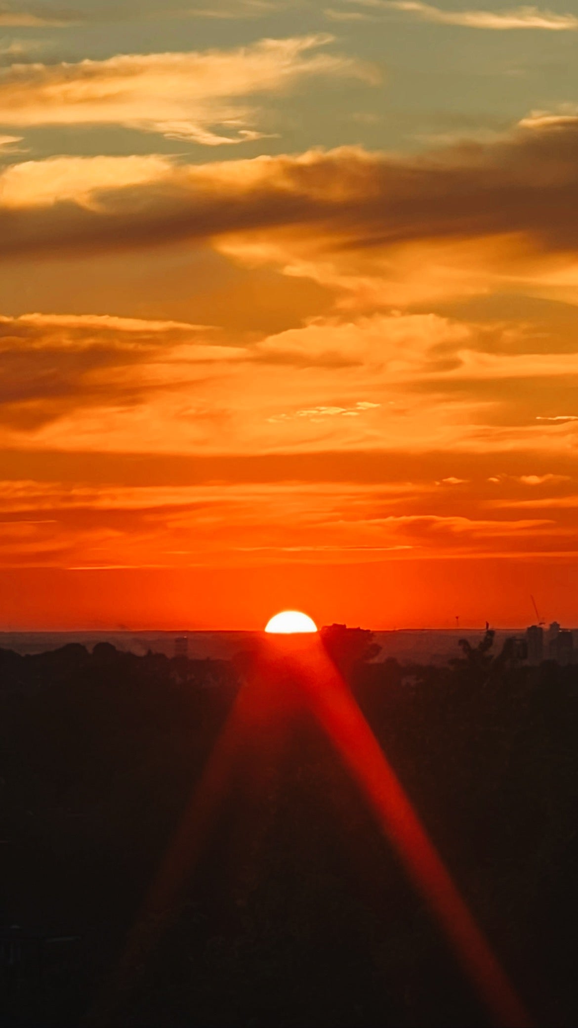 Golden Hour (Mandarin + Patchouli) | Amber Jar Candle