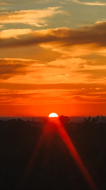 Golden Hour (Mandarin + Patchouli) | Amber Jar Candle